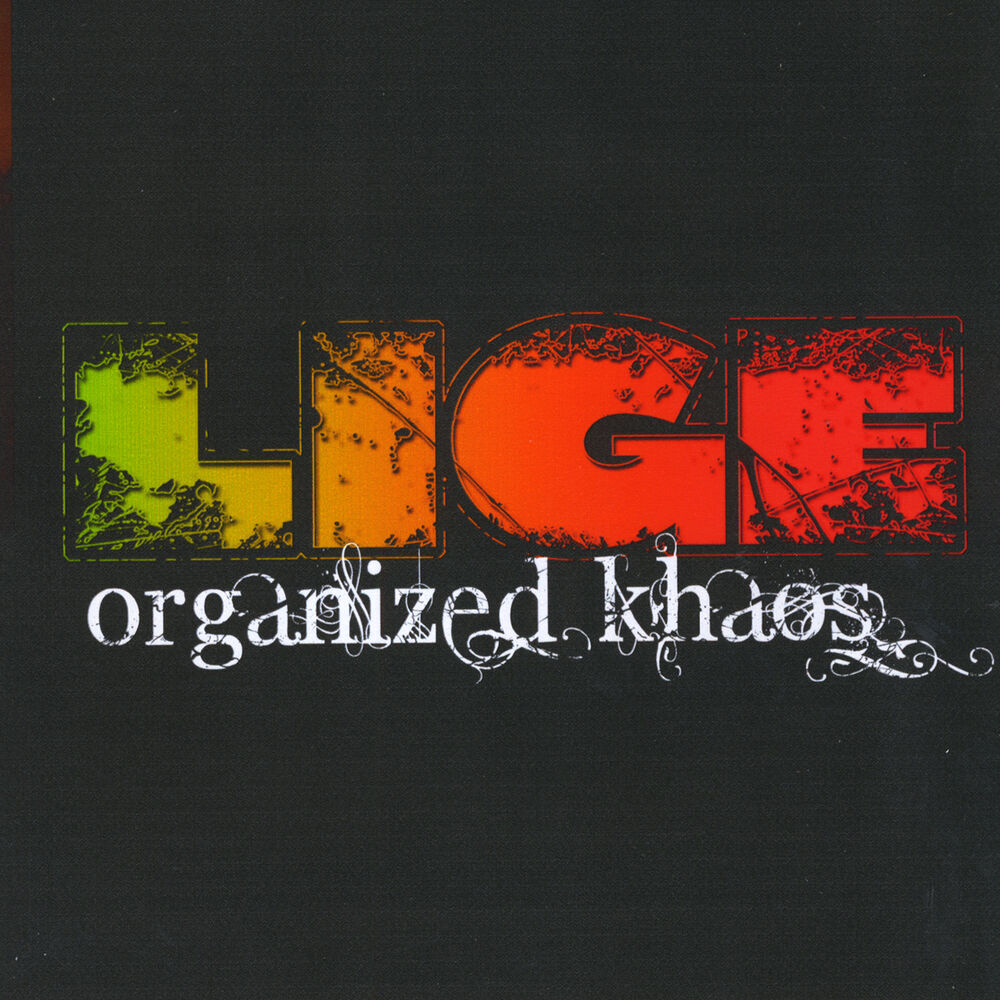 Picture of Lige Organized Khaos