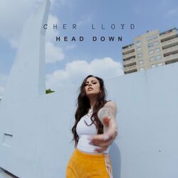 Cover of Head Down