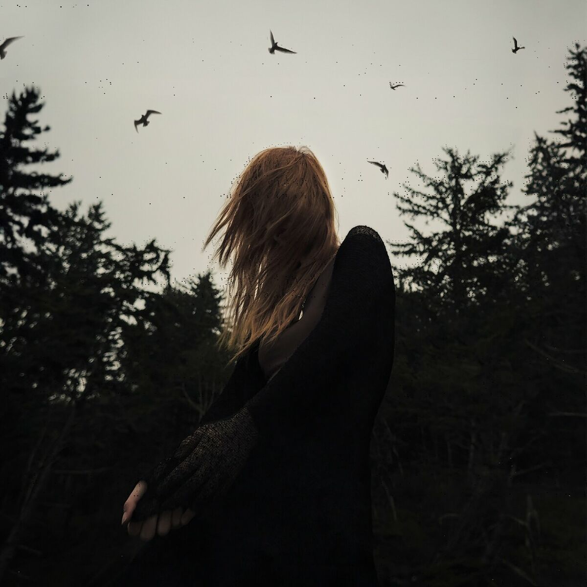 Album cover of I remember how your hands felt on mine
