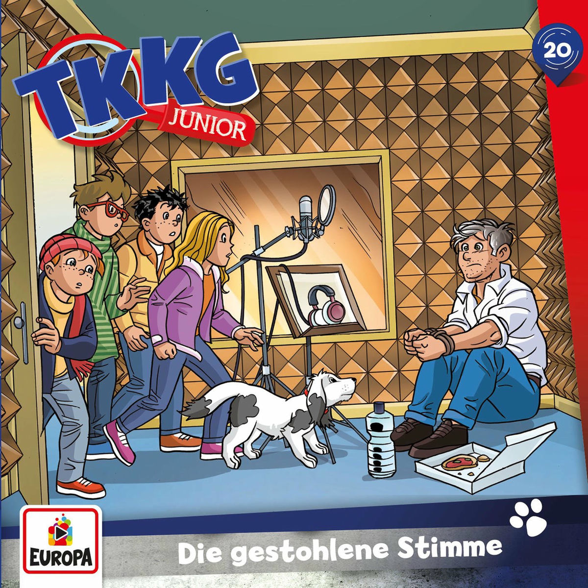 Album cover of 20 - Die gestohlene Stimme