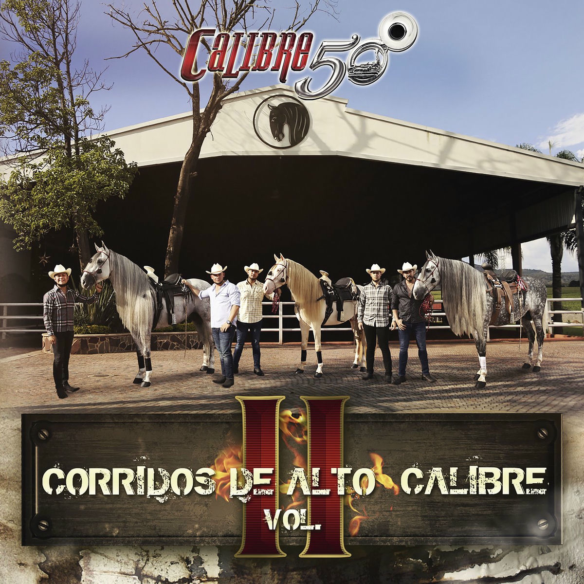 Album cover of Joaquín