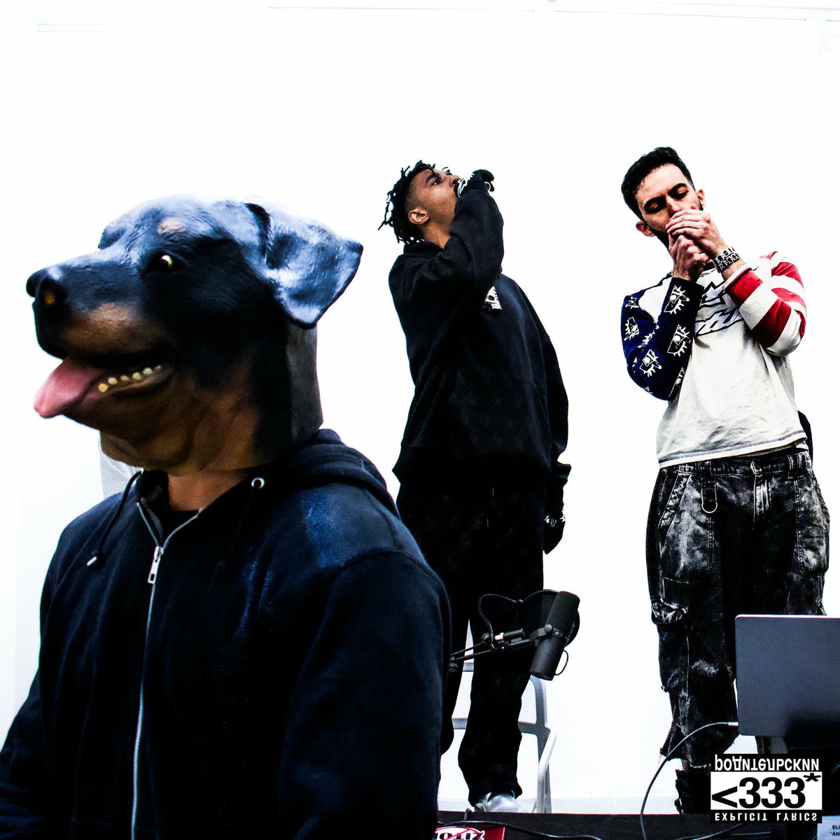 Album cover of ANIMAUX