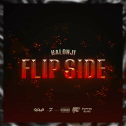 Cover of Flip Side