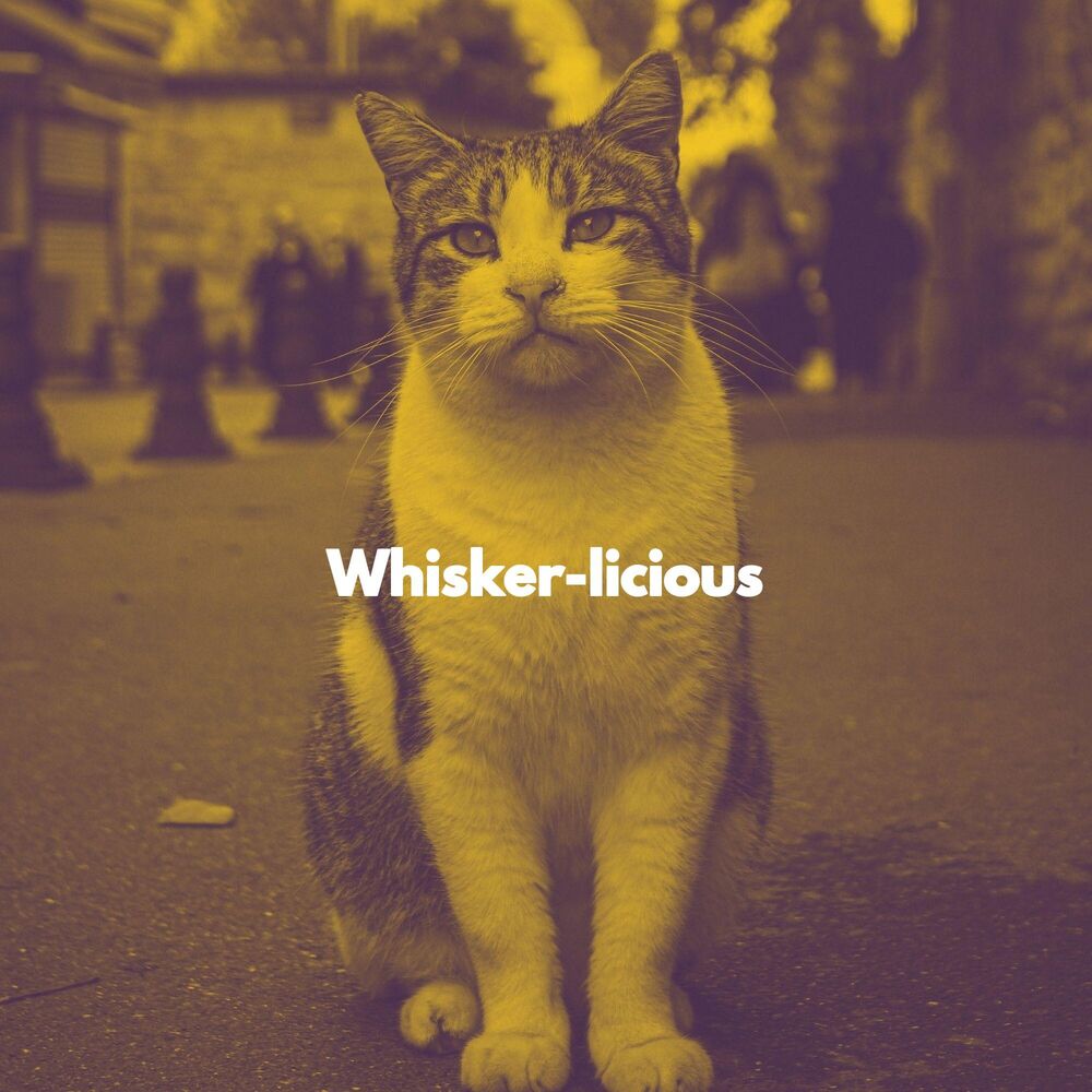 Picture of Whisker-licious