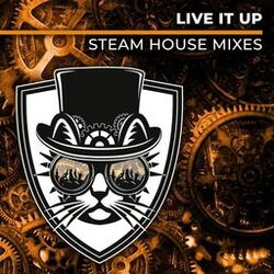 Cover of Live It Up (Steam House Mixes)