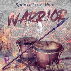 Cover of Warrior