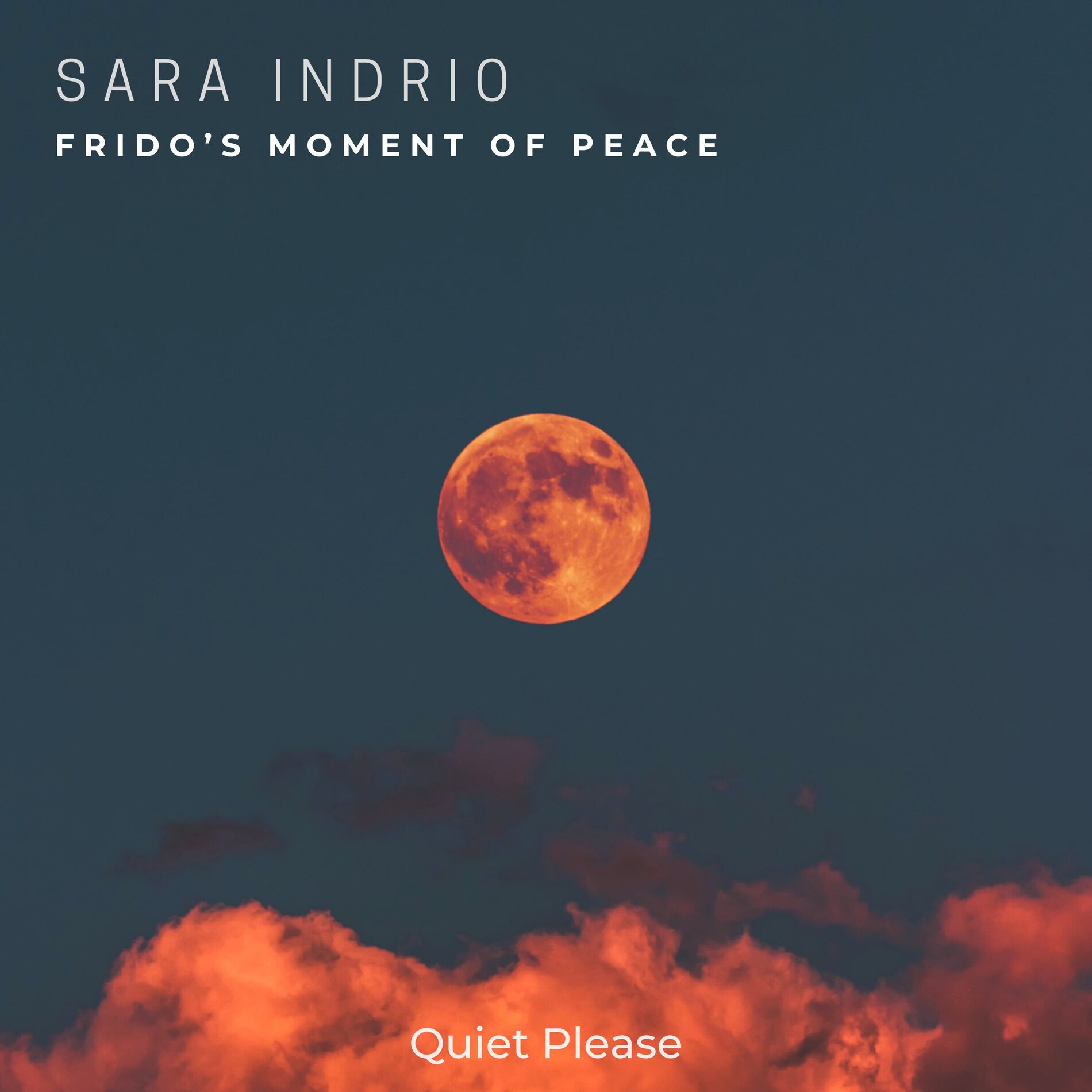 Album cover of Frido’s Moment of Peace