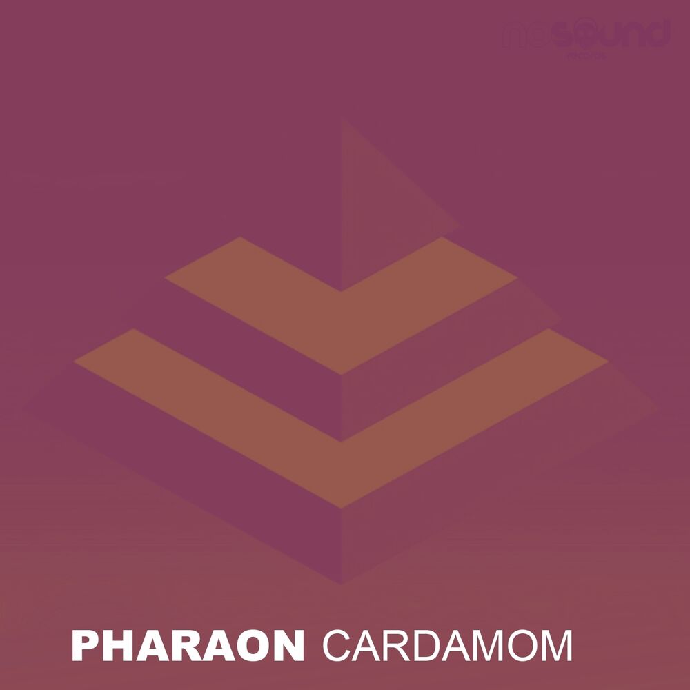 Picture of Cardamom