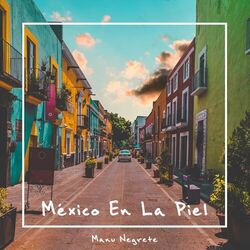 Cover of México en la Piel