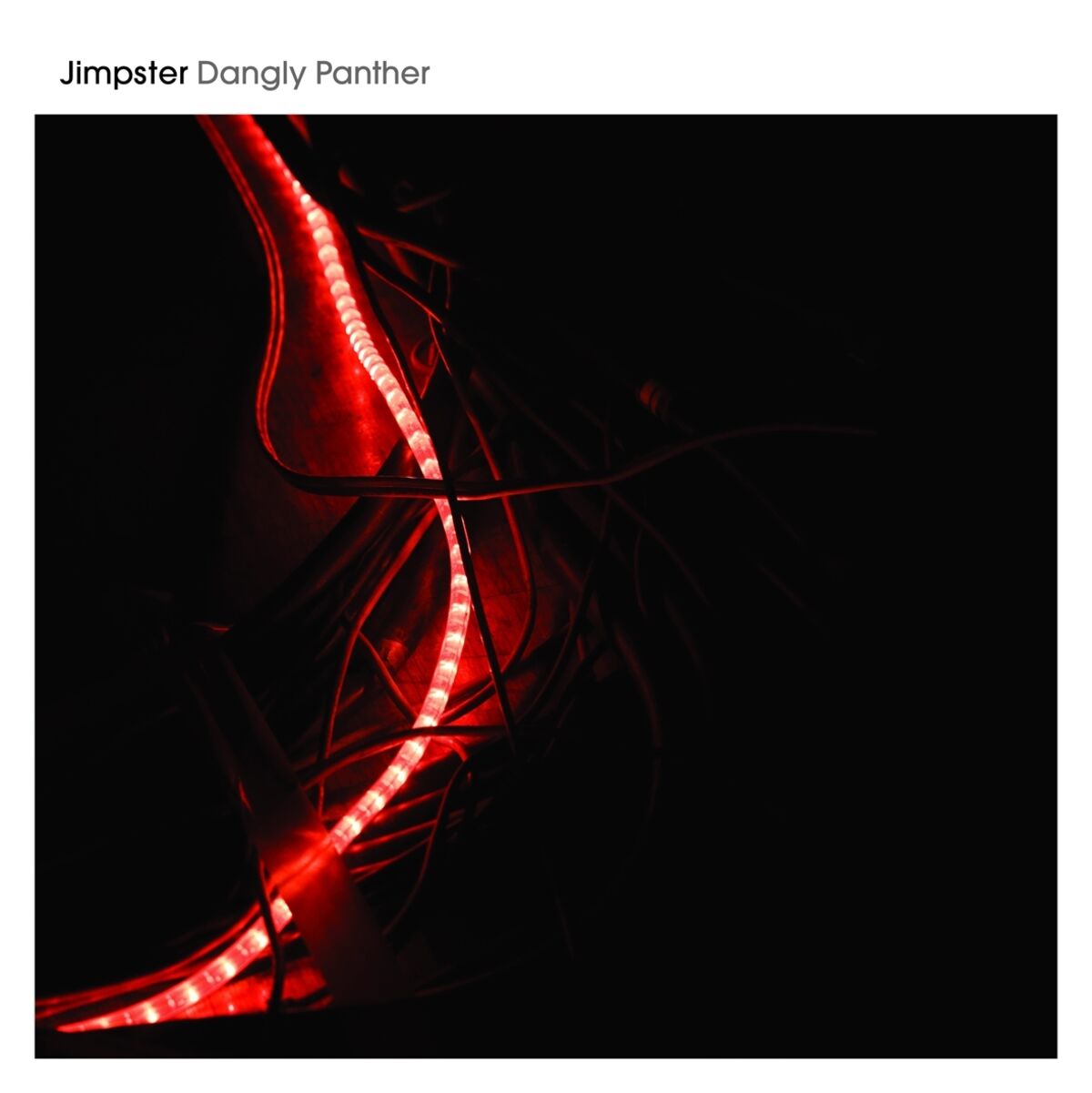 Album cover of Dangly Panther