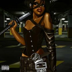 Cover of Silent Assassin