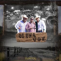Cover of Oi Una Voz