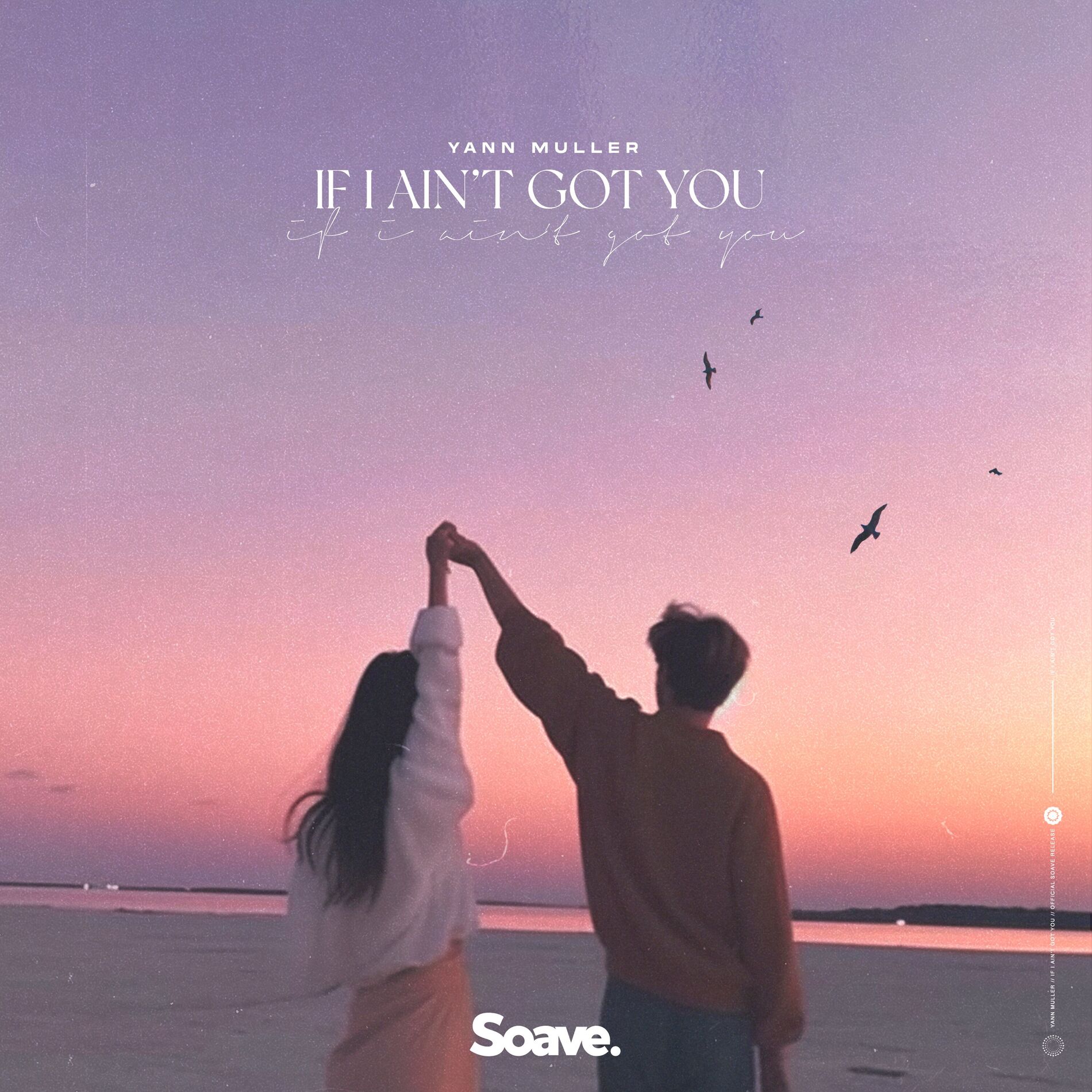 Album cover of If I Ain't Got You