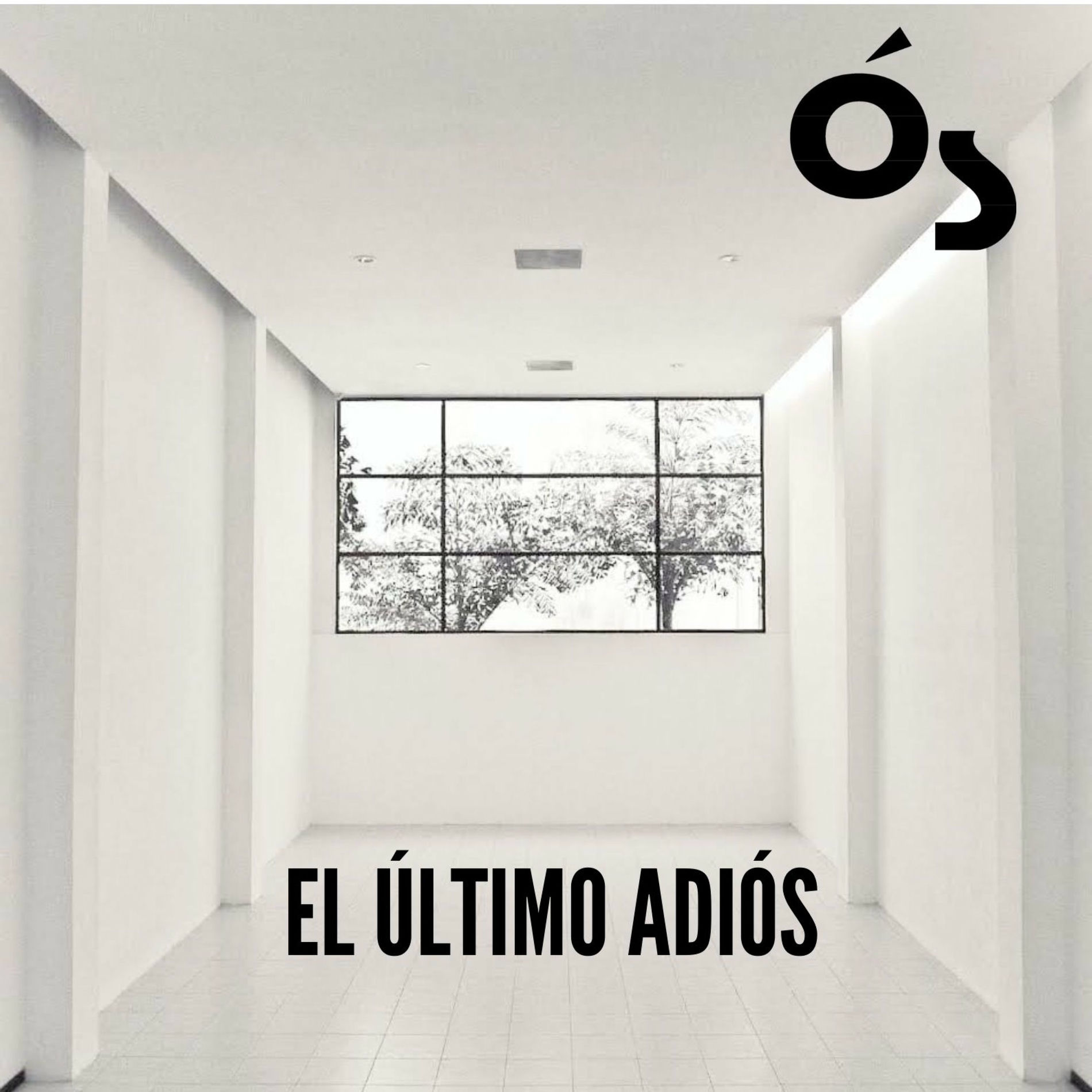 Album cover of El Último Adiós (feat. Carlos Walter, Carlitos Hernandez & Chamba Tellez)
