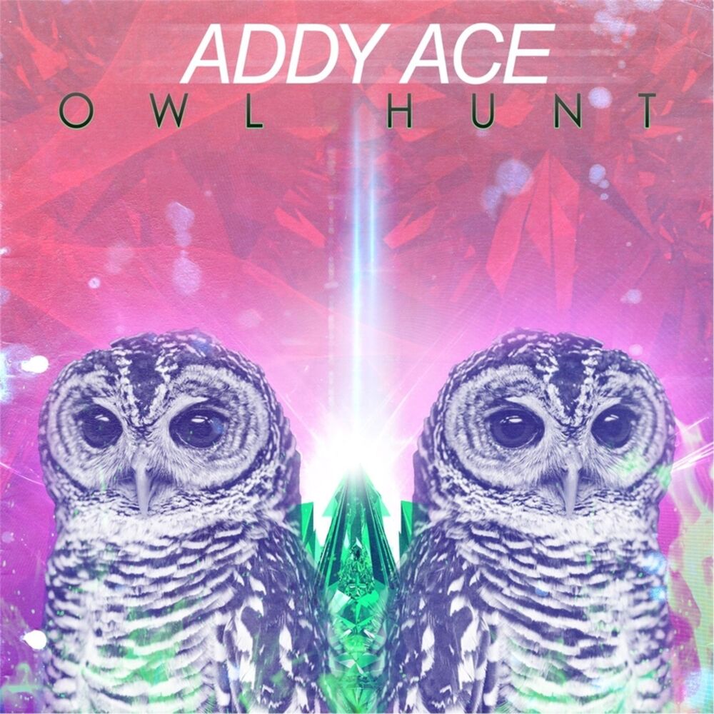 Picture of Owl Hunt