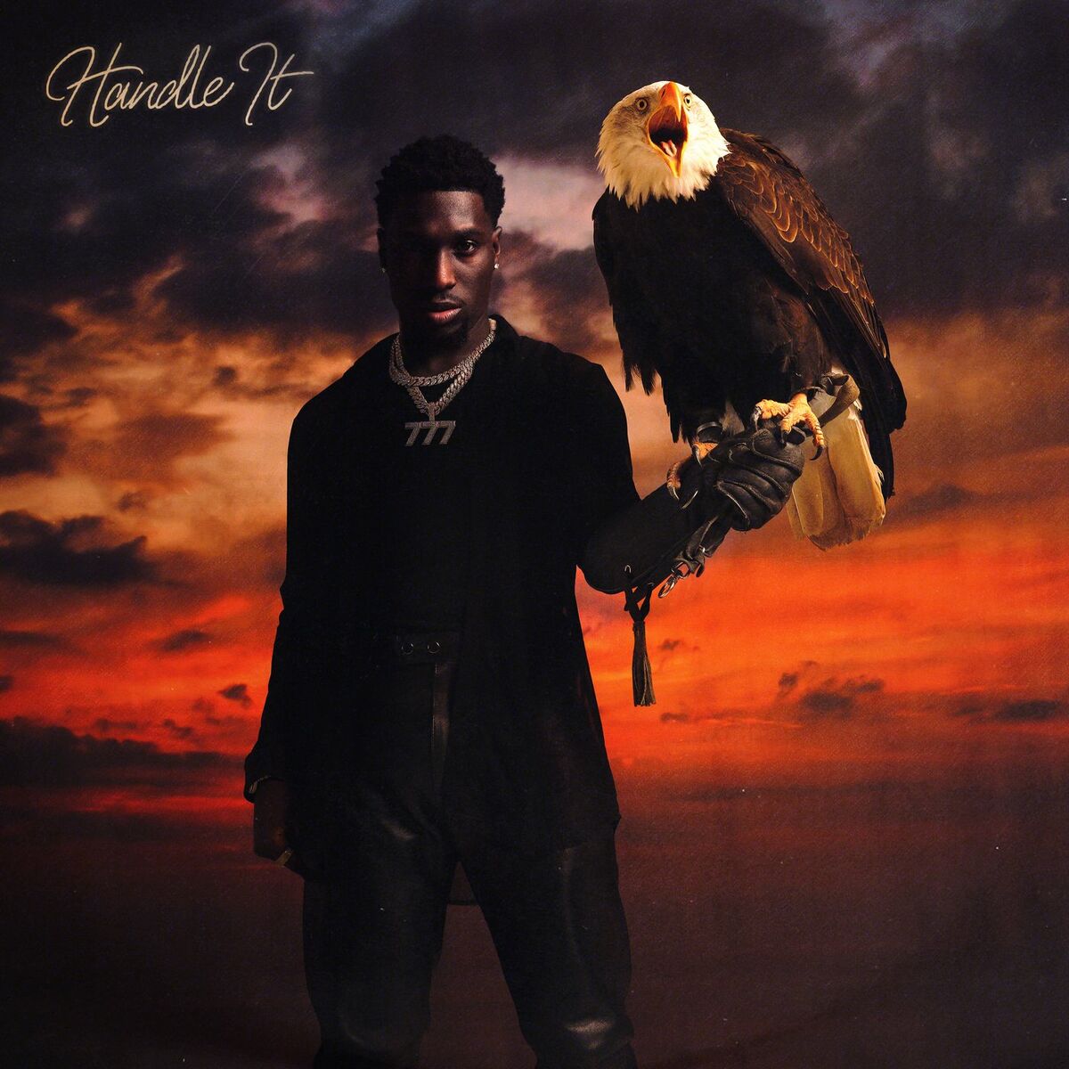 Album cover of Handle It