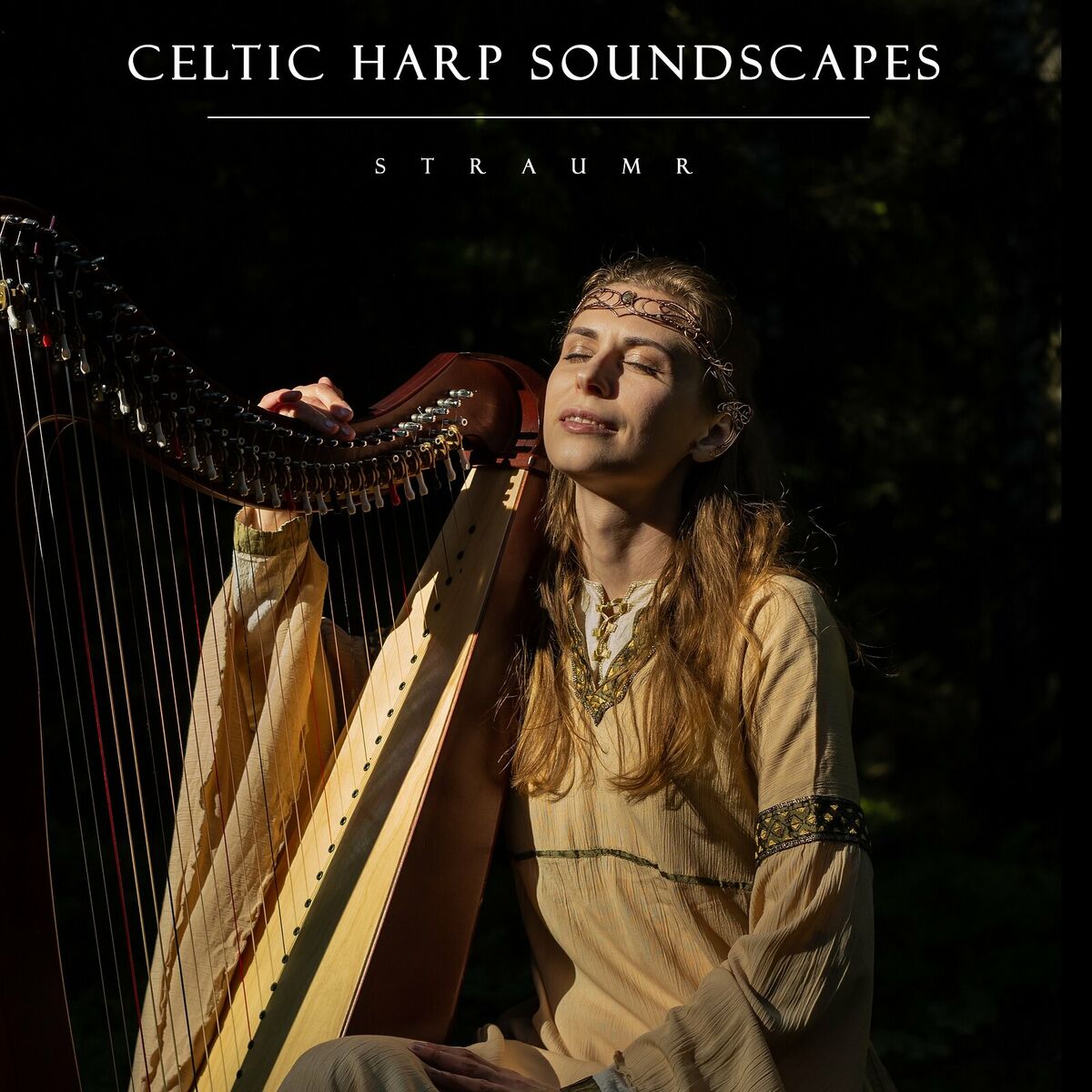 Album cover of Celtic Harp Soundscapes