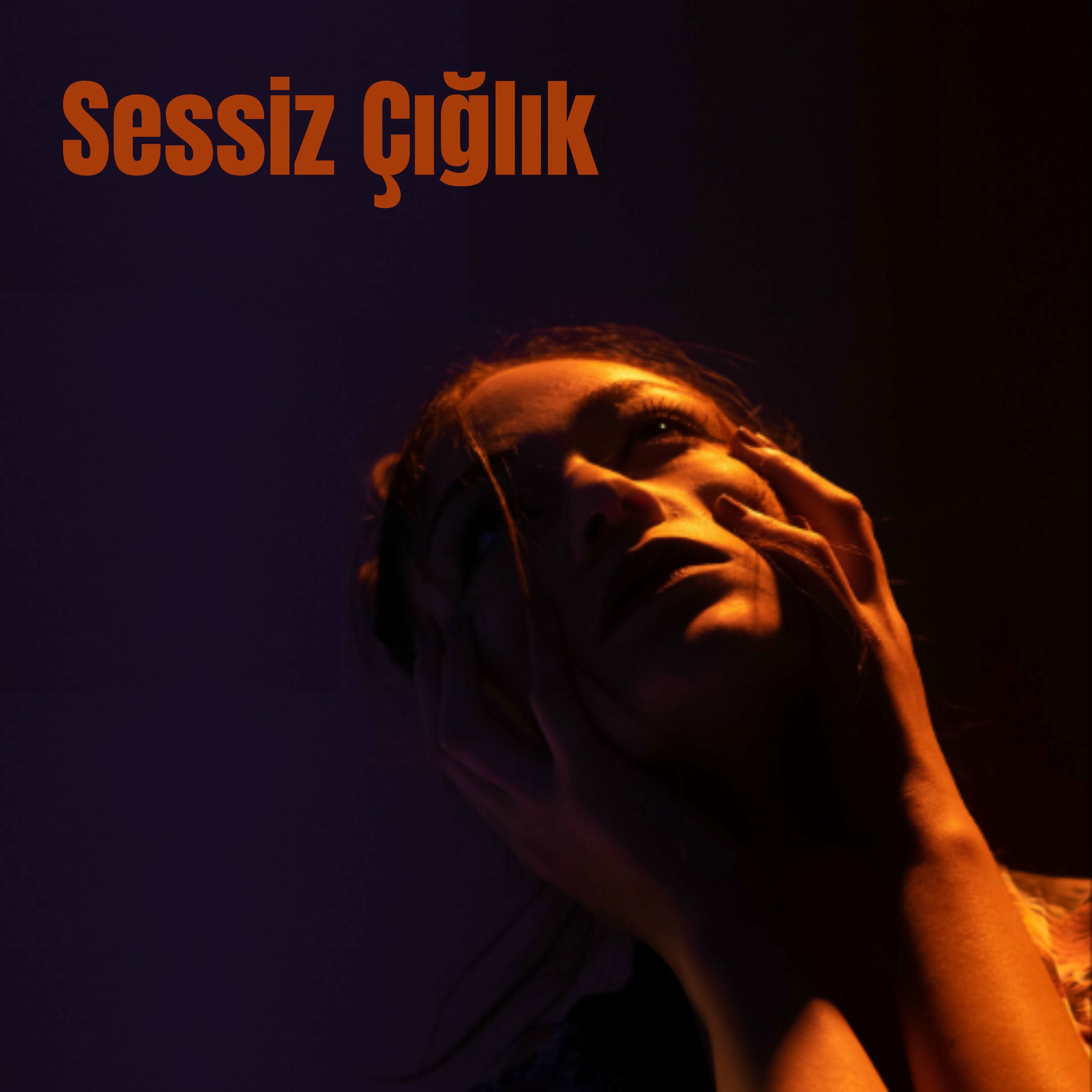 Album cover of Sessiz Çığlık
