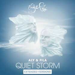 Cover of Quiet Storm (Extended Versions)