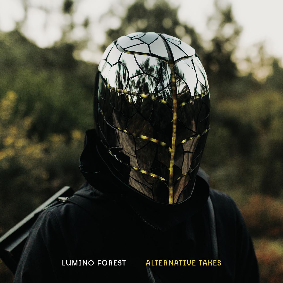Album cover of Once in a Lifetime Chance