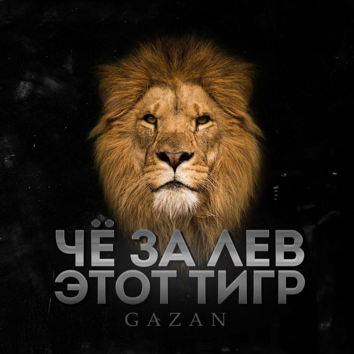 Album cover of CHE ZA LEV ETOT TIGR
