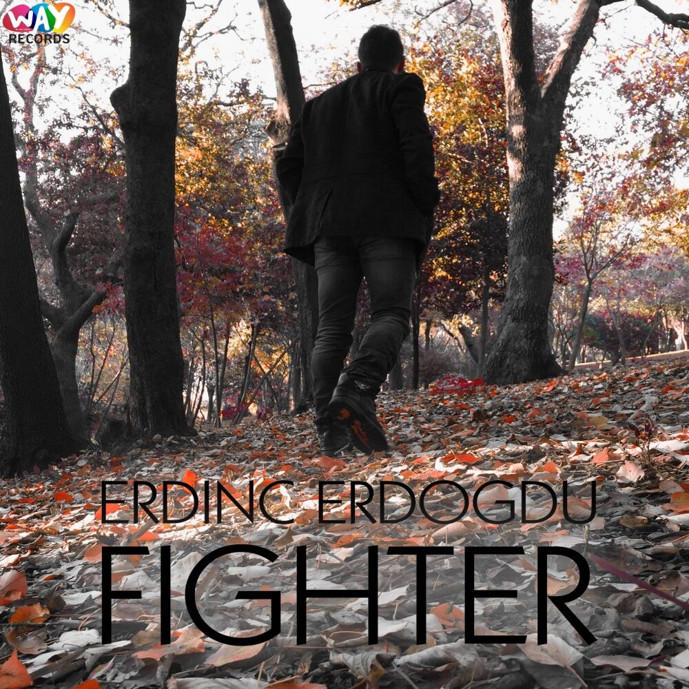 Picture of Fighter