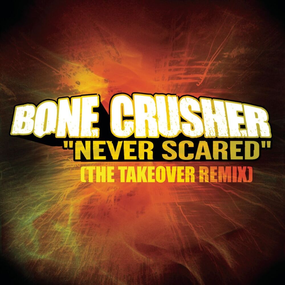 Picture of Never Scared (feat. Cam'ron, Jadakiss & Busta Rhymes) (The Takeover Remix - Club Mix)