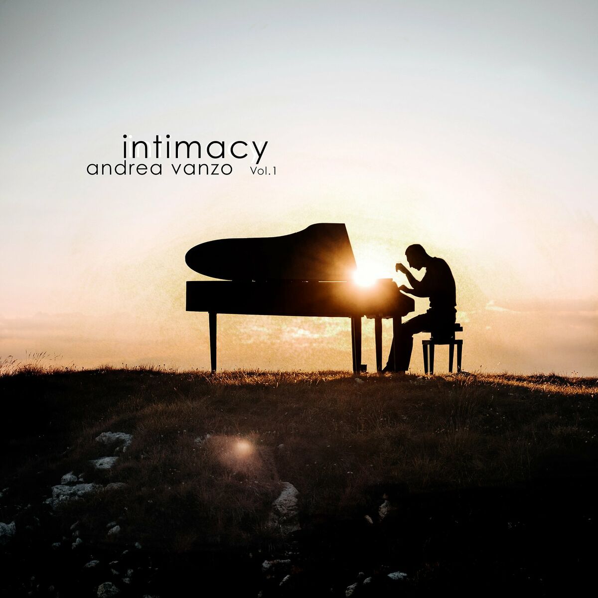 Album cover of Intimacy