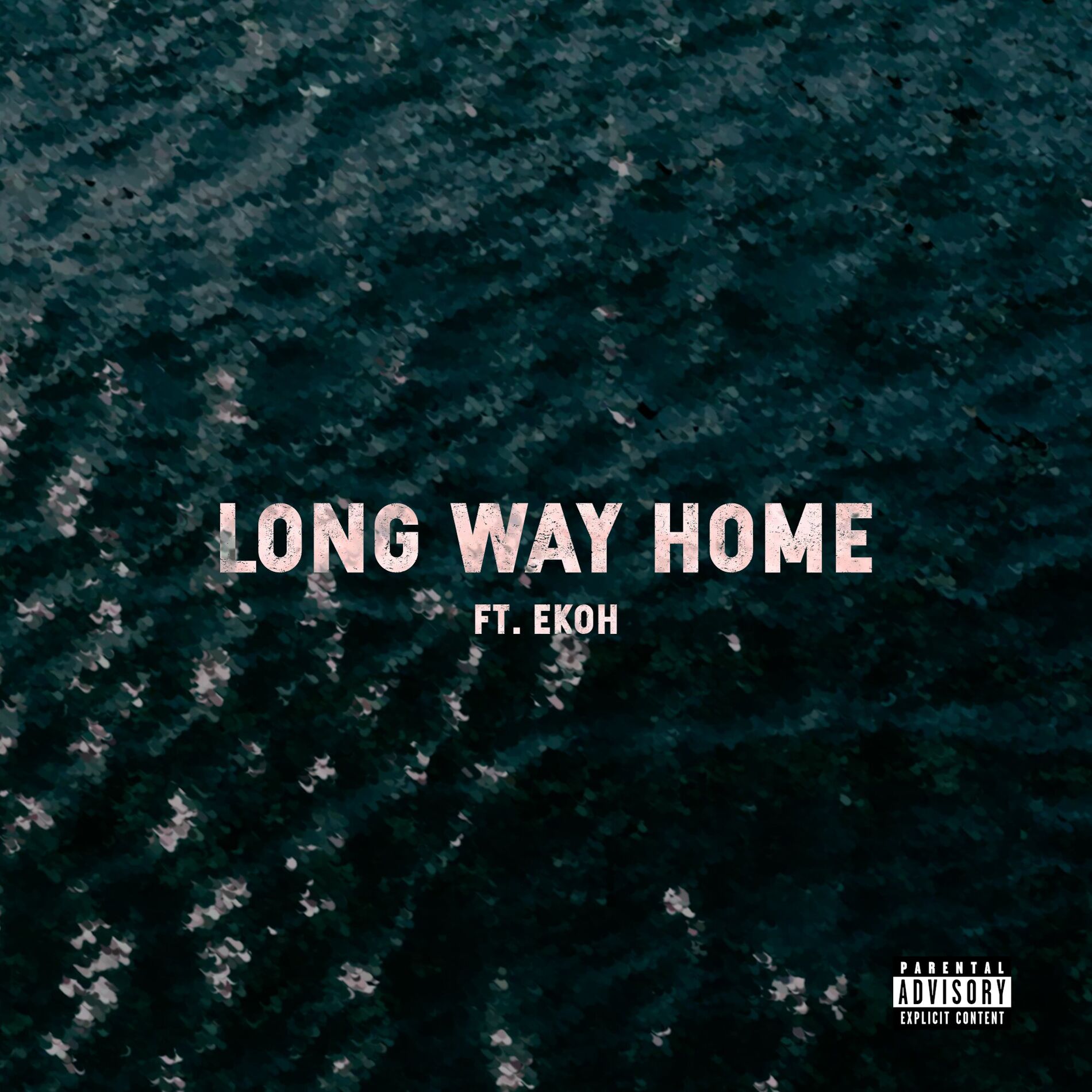 Album cover of Long Way Home (feat. Ekoh)