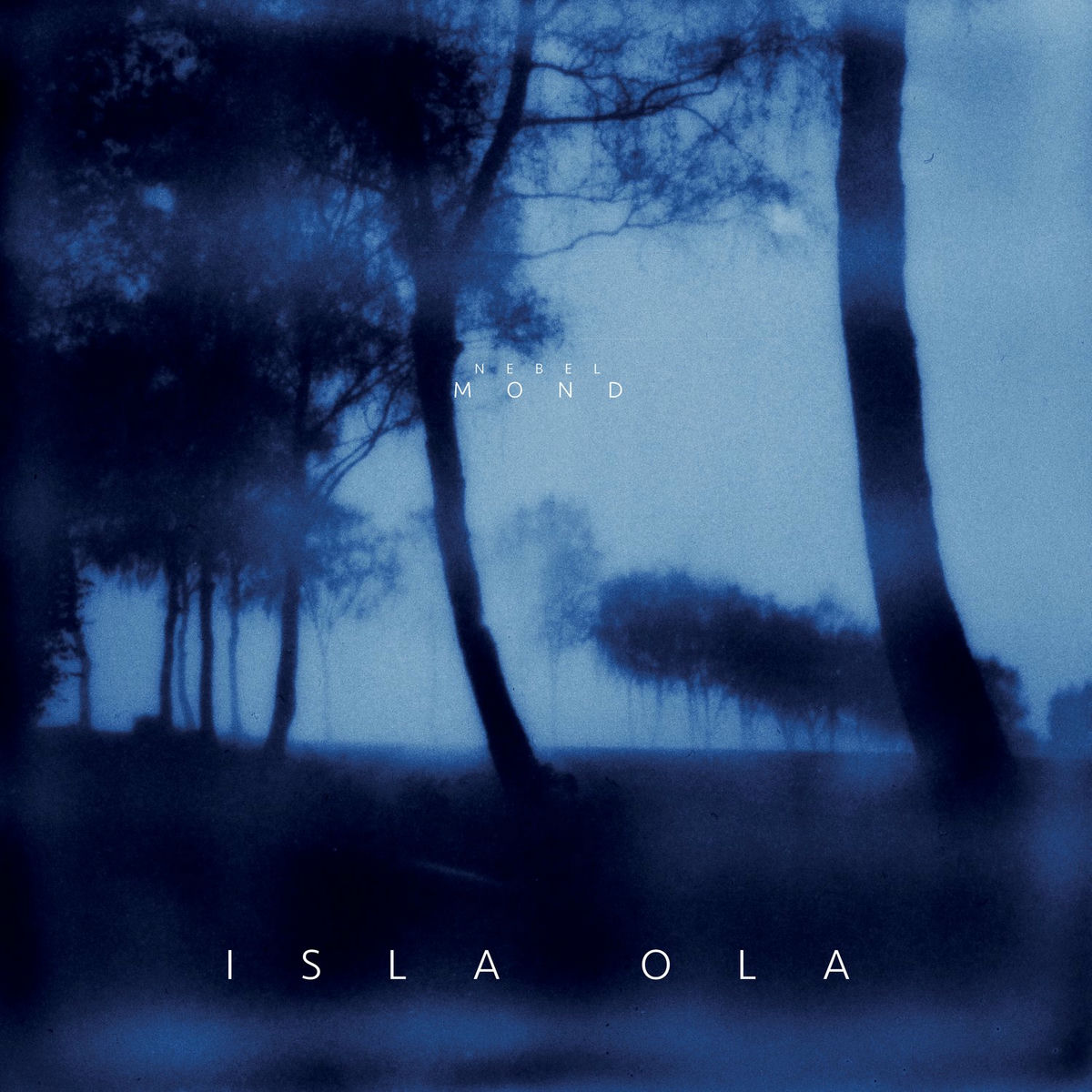 Album cover of Nebelmond