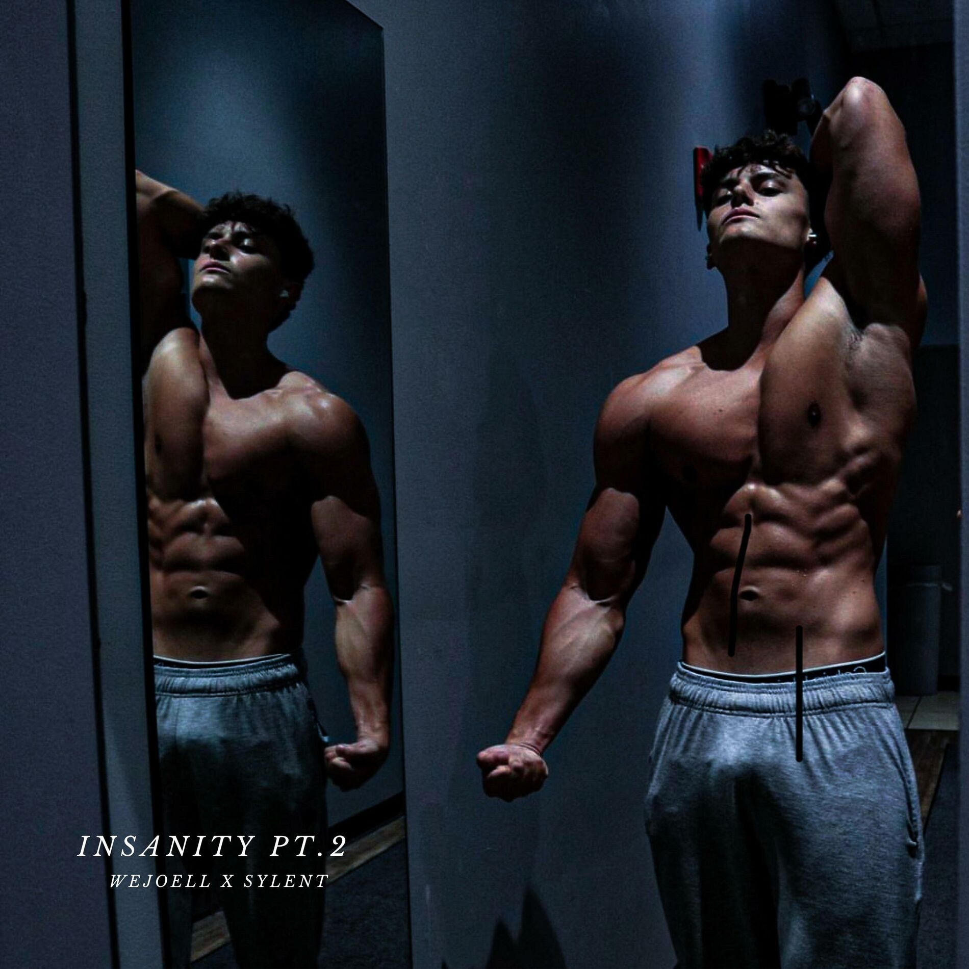Album cover of Insanity, Pt. 2