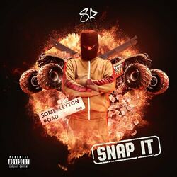 Cover of Snap It