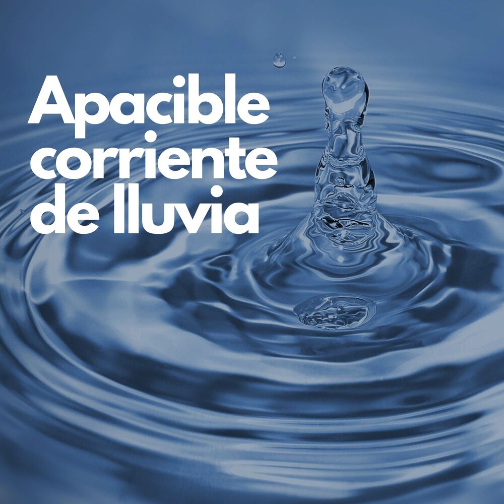 Picture of La apacible corriente de lluvia