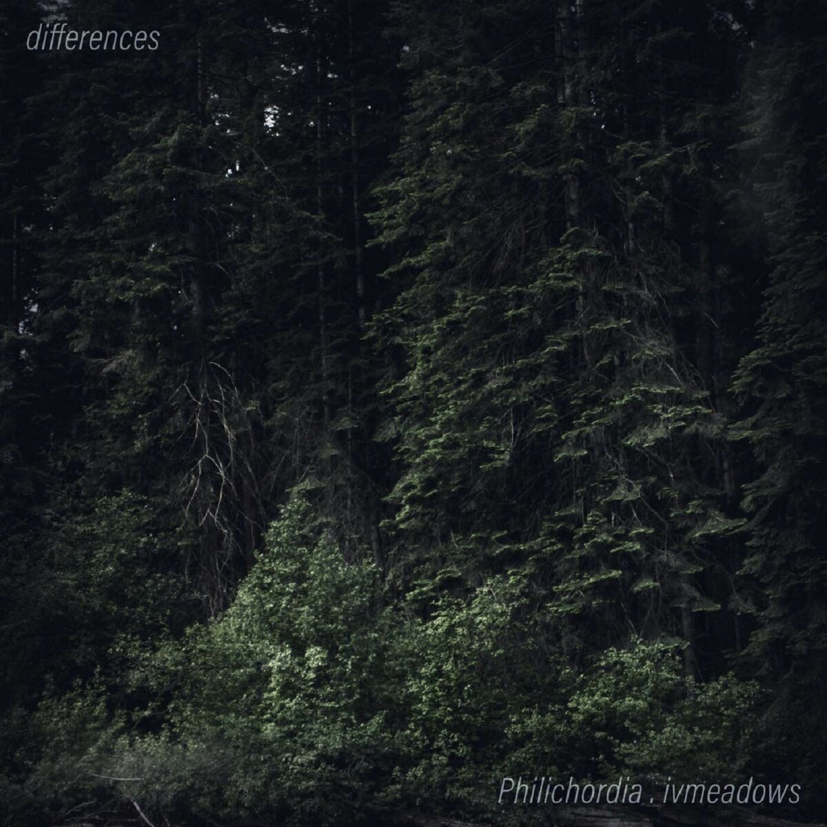 Album cover of Differences
