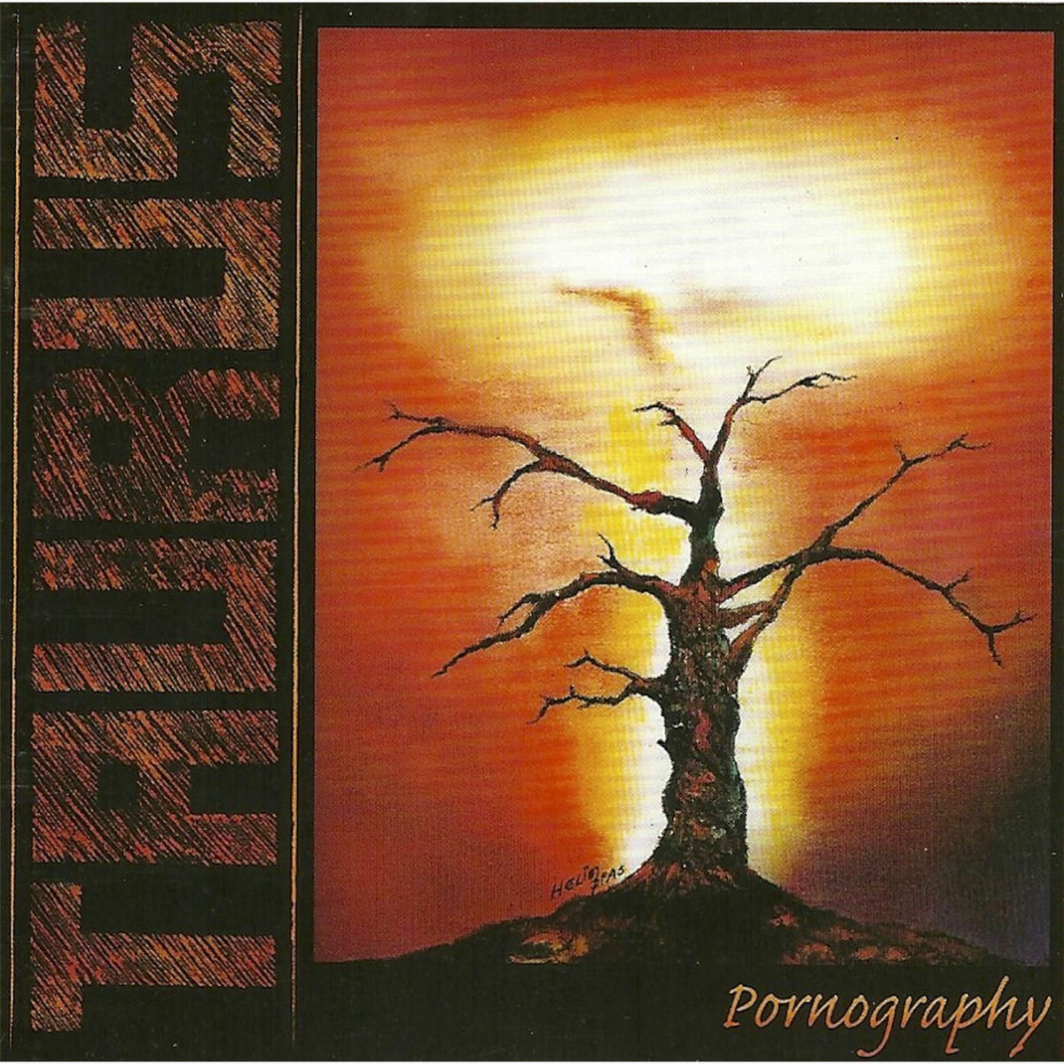 Album cover of Pornography
