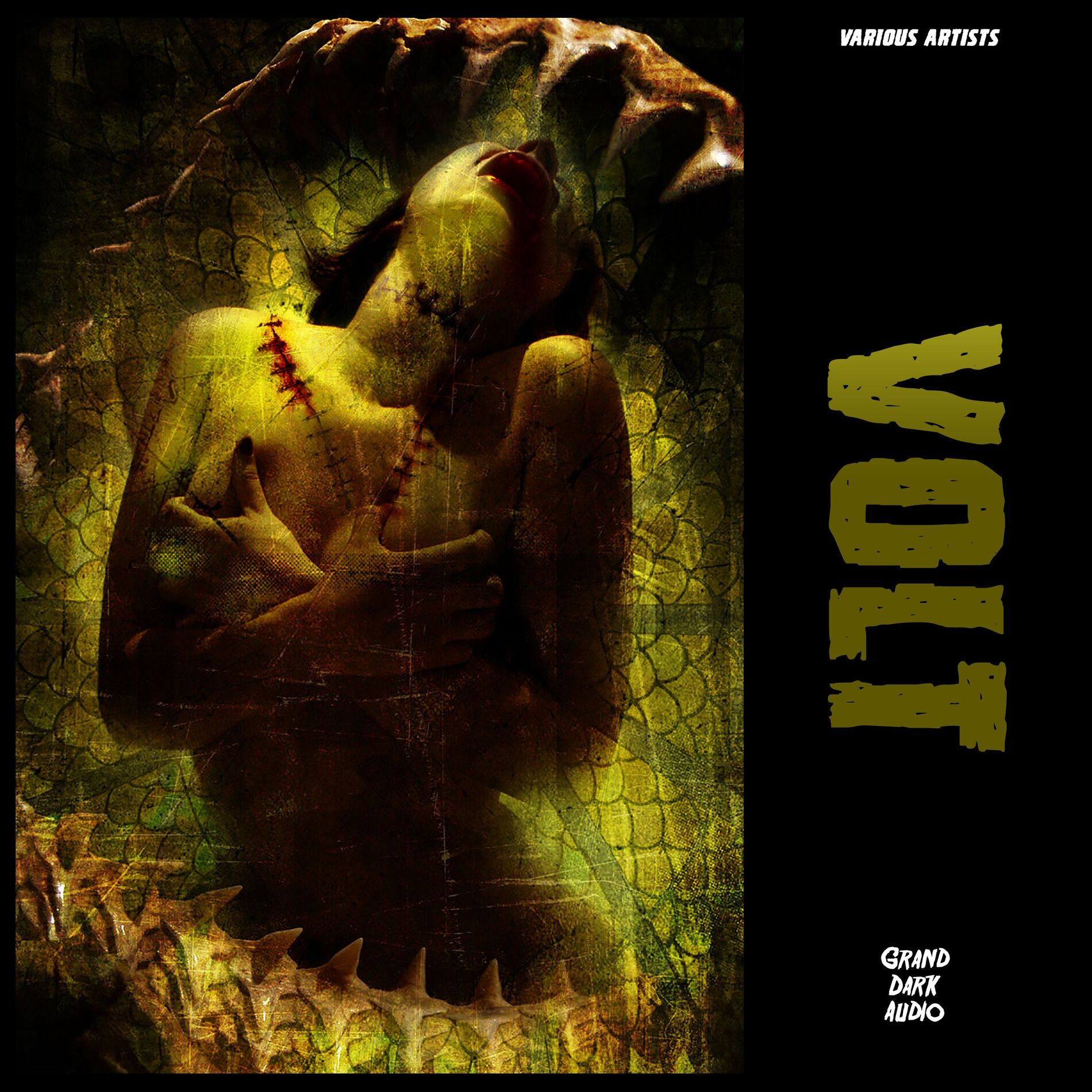Album cover of Volt