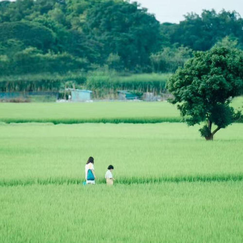 慢时光里