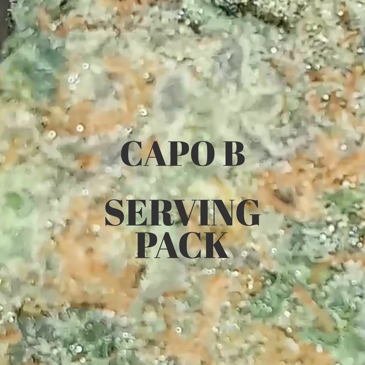 Album cover of Serving Pack