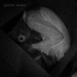 Cover of fallen down // the backroom (creepy)