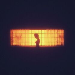 Cover of King