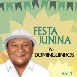 Cover of Festa Junina por Dominguinhos, Vol. 1
