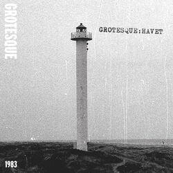 Cover of Havet