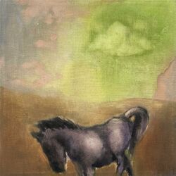 Cover of Soaring Through A World That Is New, That Is Free
