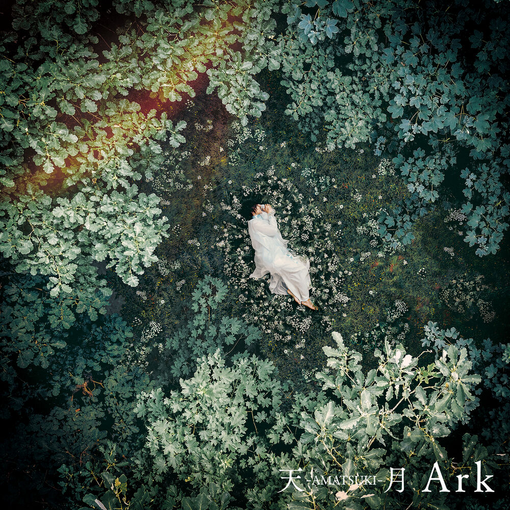 Picture of Ark