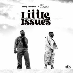 Cover of Little Issues