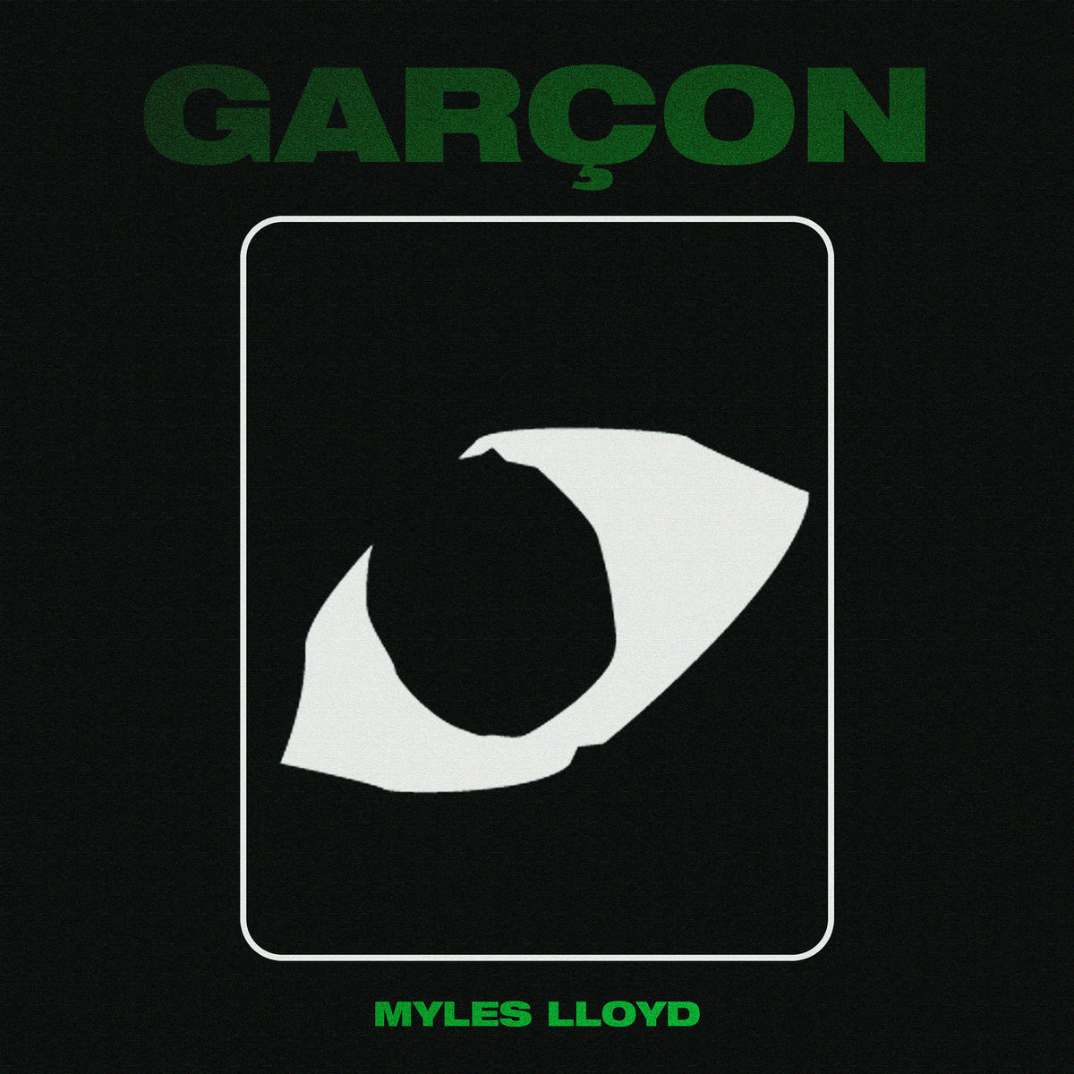 Album cover of Garçon