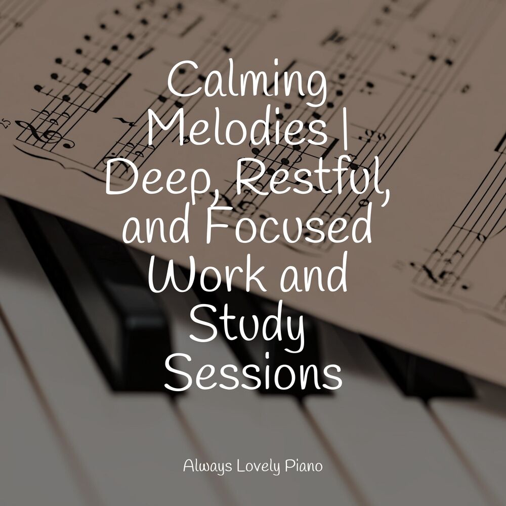 Picture of 50 Soft Piano Songs for a Chill Ambience and Quiet Listening