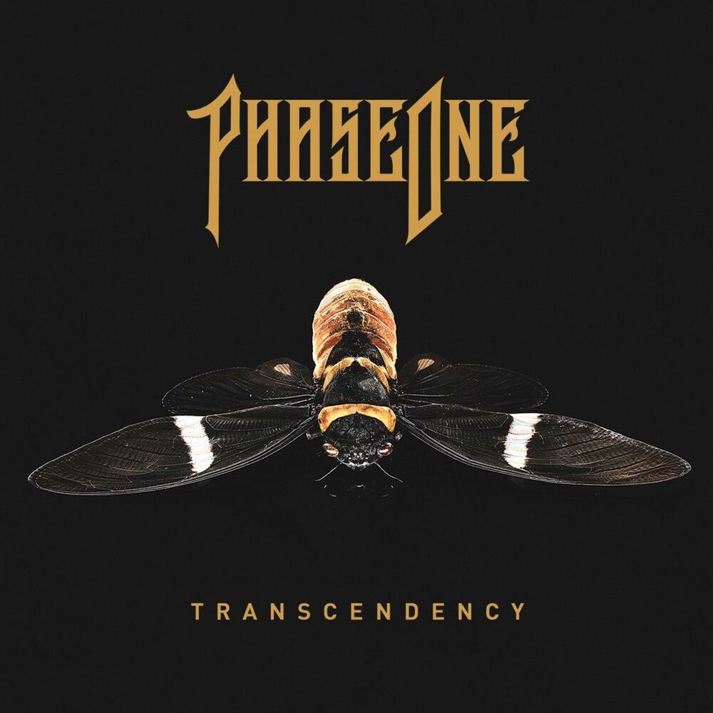 Picture of TRANSCENDENCY