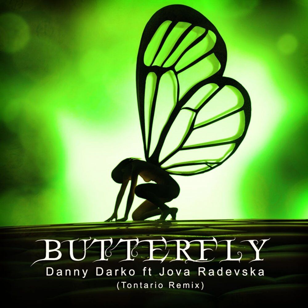 Picture of Butterfly