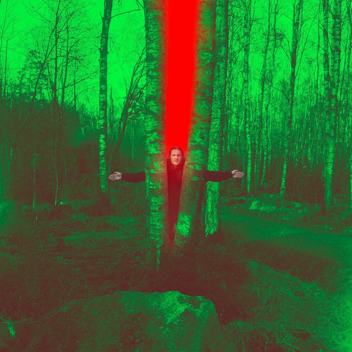 Album cover of Wish I Could Stay